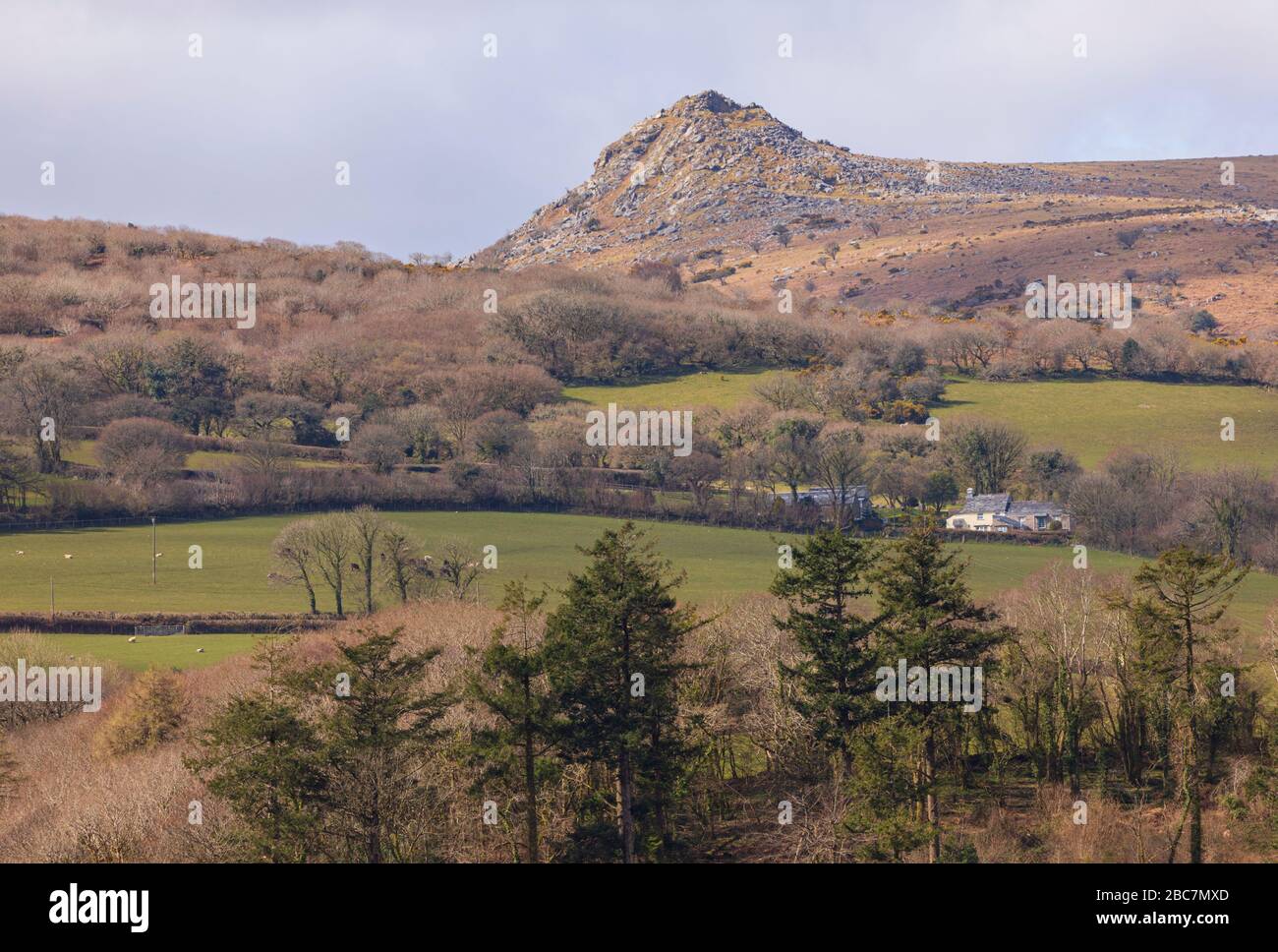 Sharptor on Bodmin Moor Stock Photo