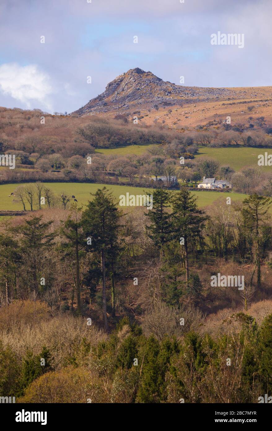 Sharptor on Bodmin Moor Cornwall Stock Photo Alamy
