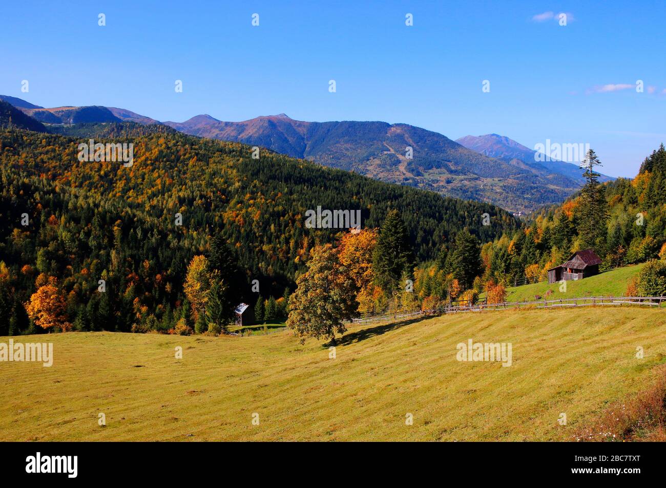Bucovina region in Romania Stock Photo