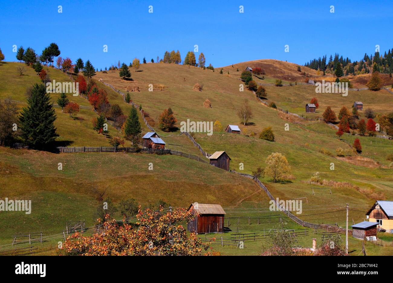 Bucovina region in Romania Stock Photo