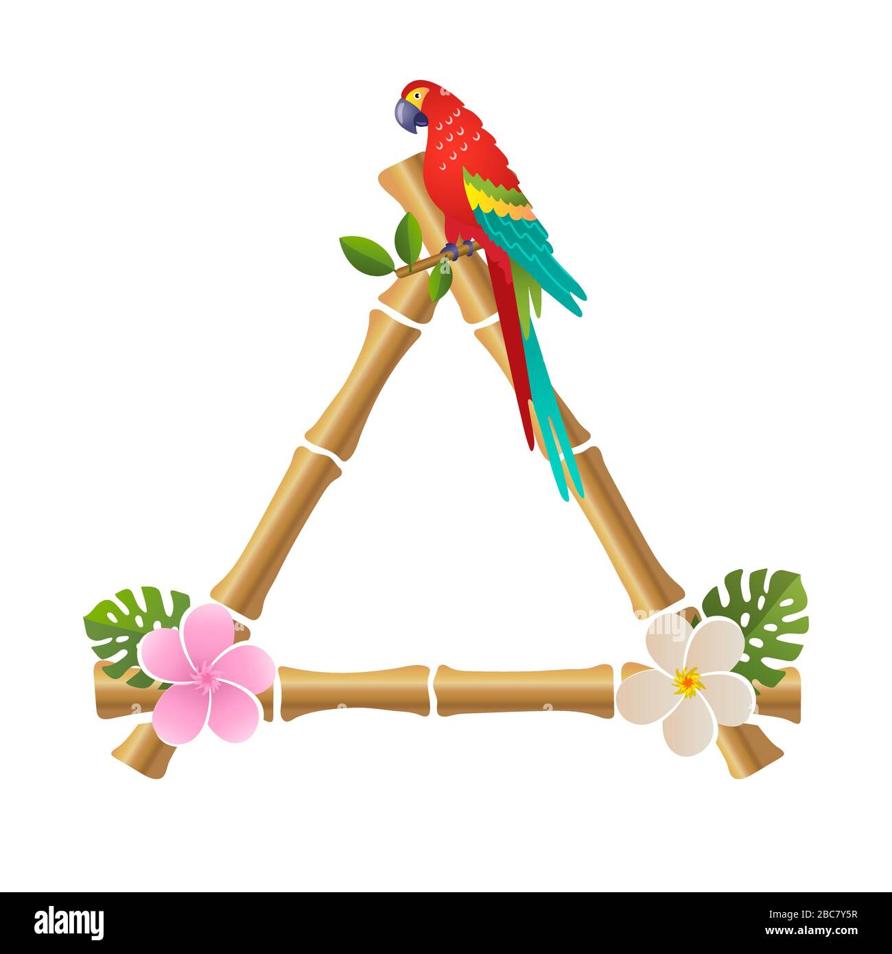 bamboo frame with a parrot on a white background vector illustration Stock Vector