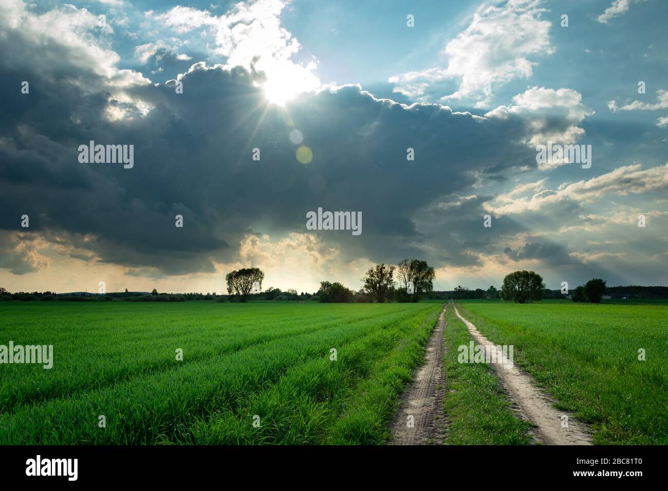 Dirt road and green field, sun shine over dark cloud, spring view Stock Photo