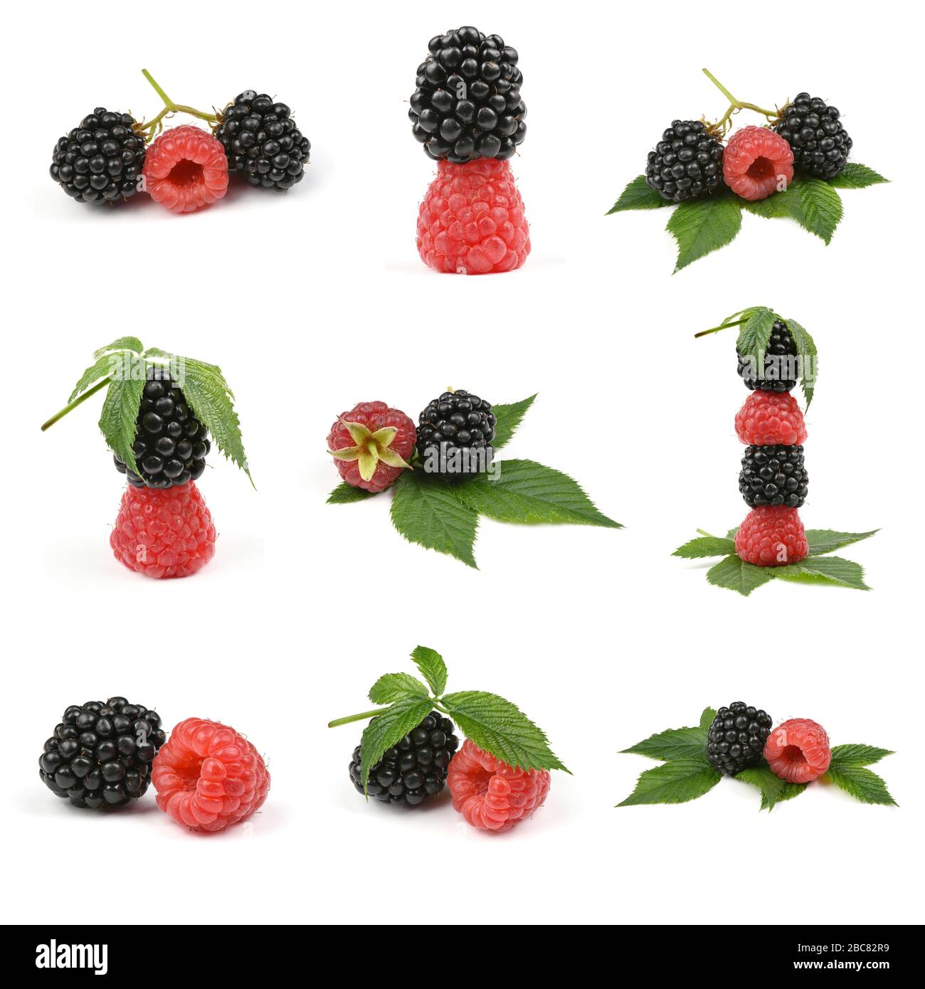 Nine Ripe blackberry and raspberry isolated white background. High ...