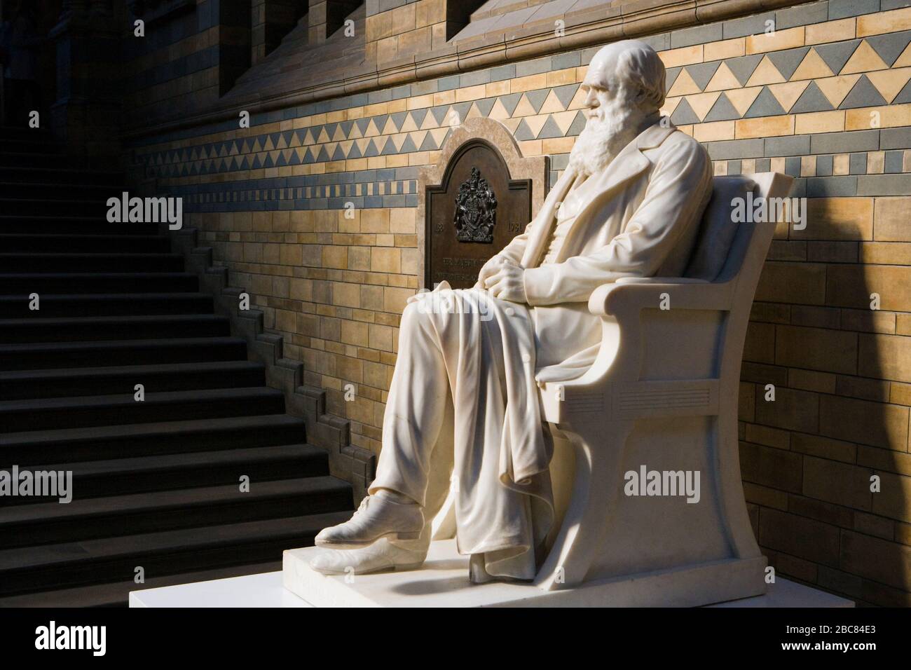 Statue of Charles Darwin in Natural History Museum, London, UK Stock Photo