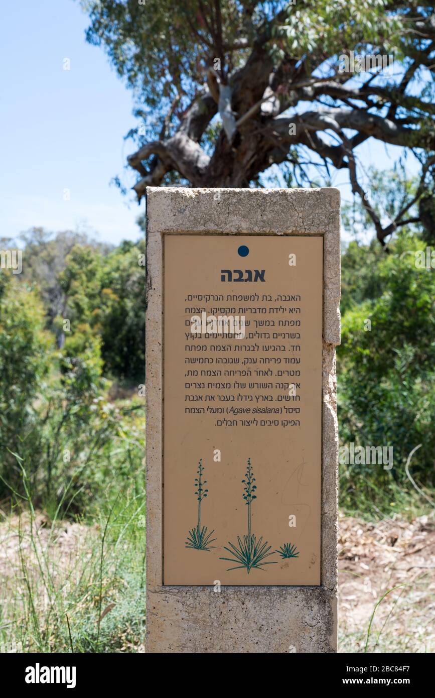 Hiking at Nahal Sorek in Israel Stock Photo