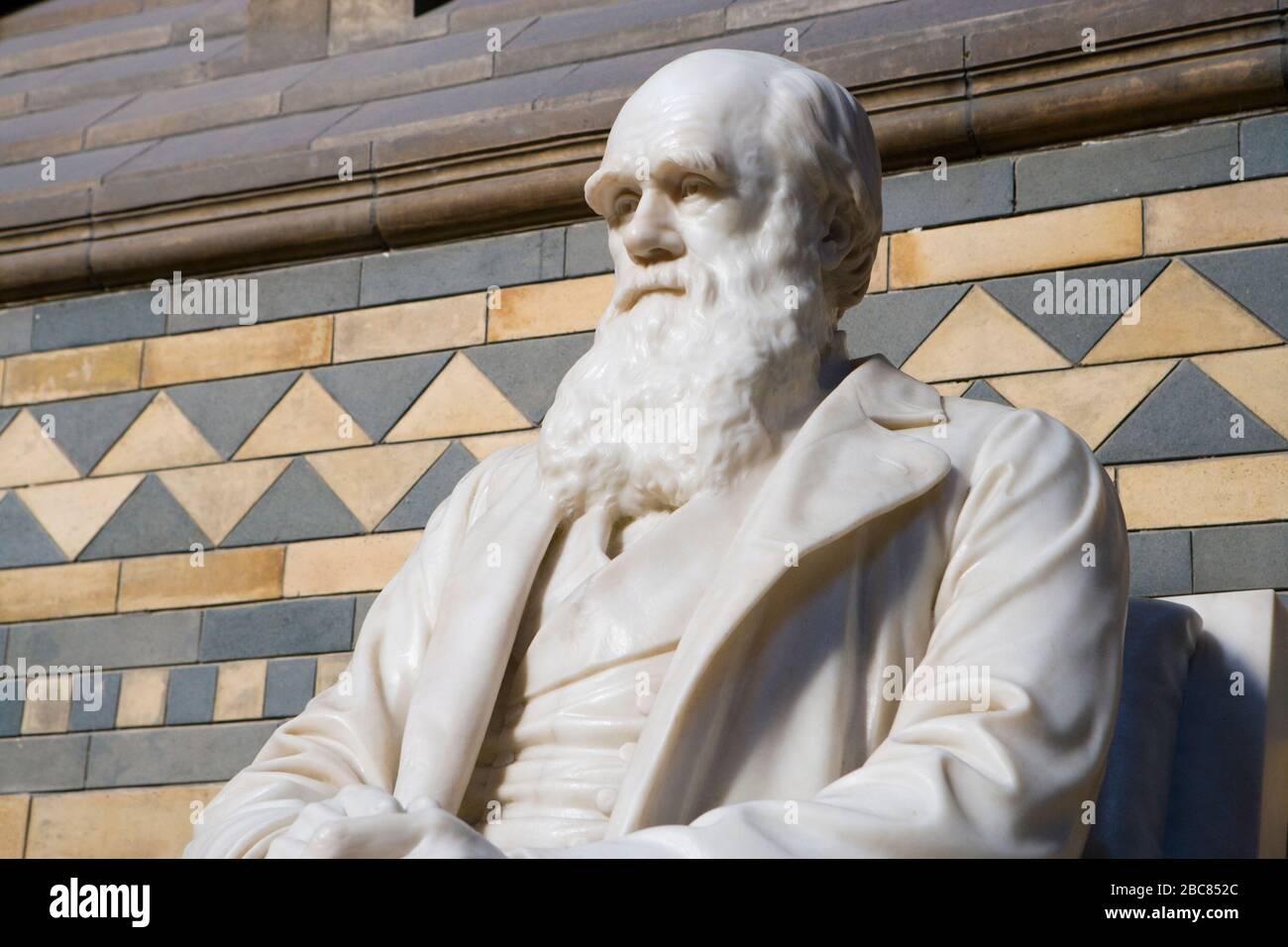 Darwin the natural history museum hi-res stock photography and images ...