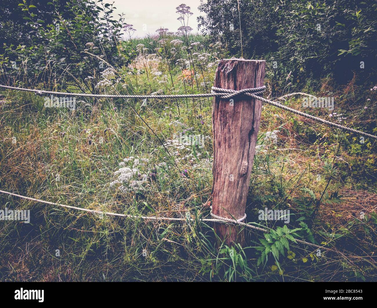 old garden fence Stock Photo - Alamy