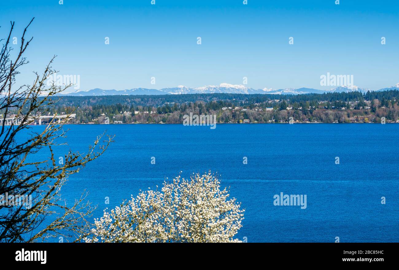 A veiw of Lake Washington in Seattle. Bellevue is in the distance Stock ...