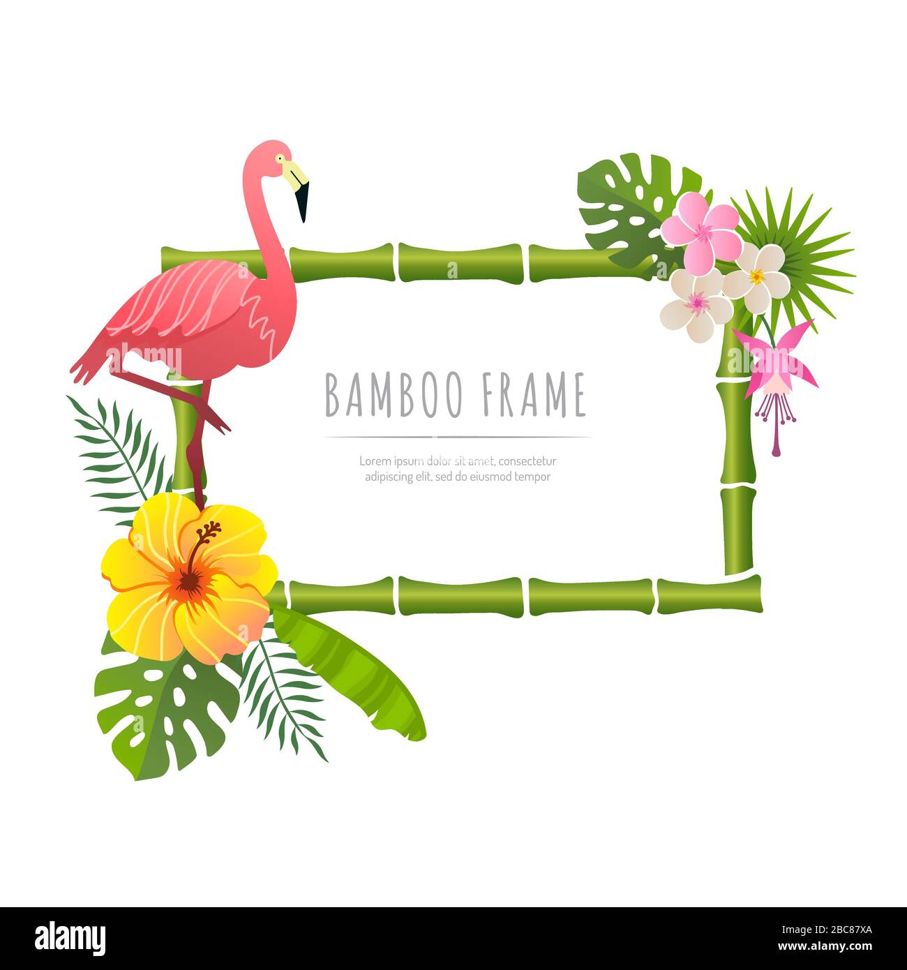 rectangle bamboo frame with flamingo vector illustration on a white  background Stock Vector Image & Art - Alamy