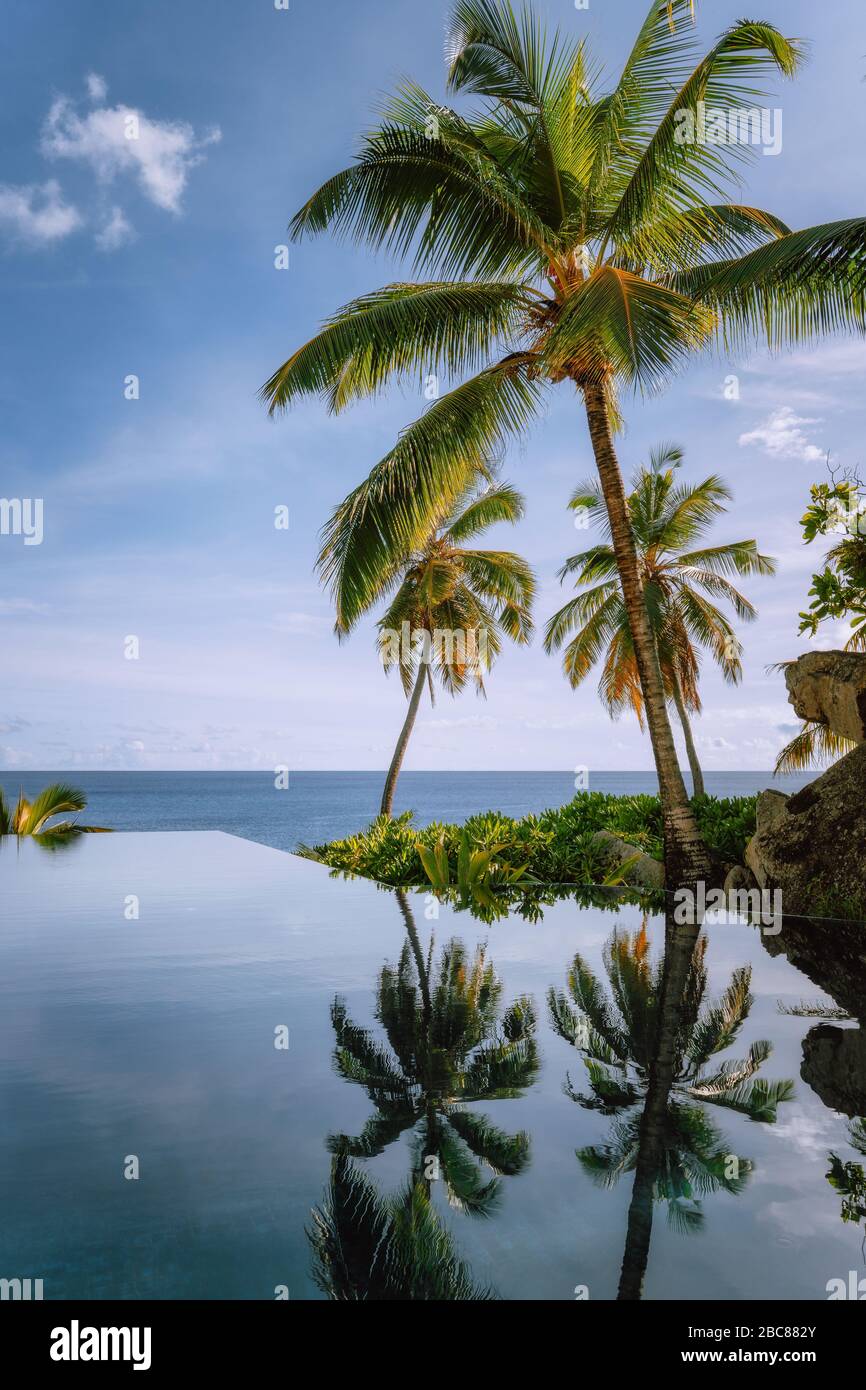 Infinity pool with coconut palm trees and ocean view. Stock Photo