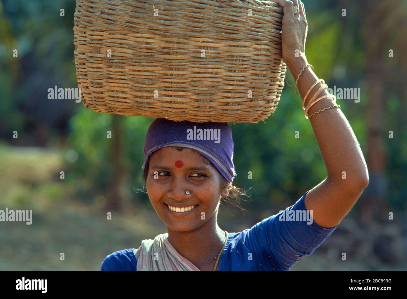 03 Apr 2020 village Farmer woman holding bamboo basket Rajahmundry Andhra Pradesh India Stock Photo