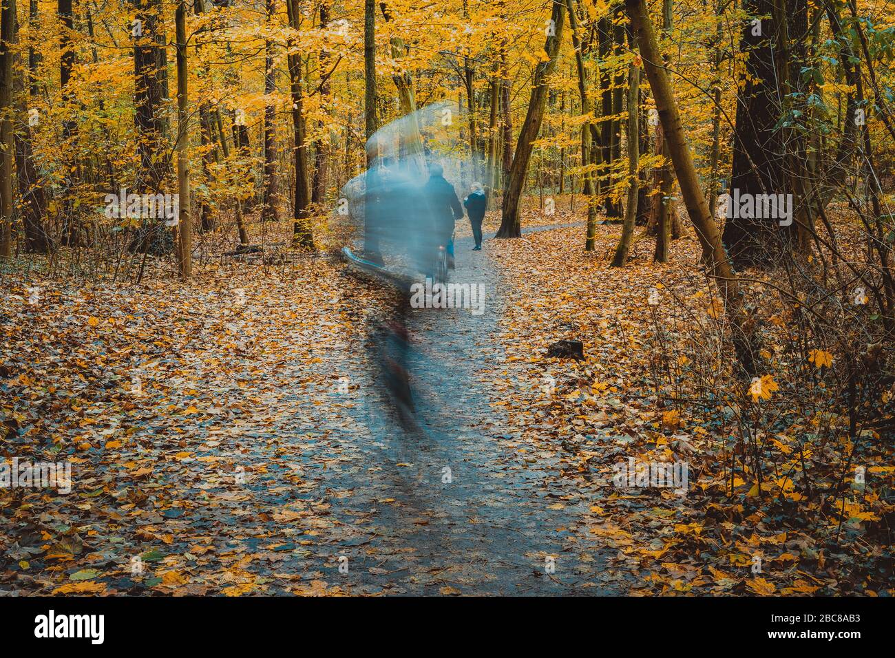 Ghostly figures in autumnal square, autumn forest landscape, trees with yellow leaves and alleys. Stock Photo
