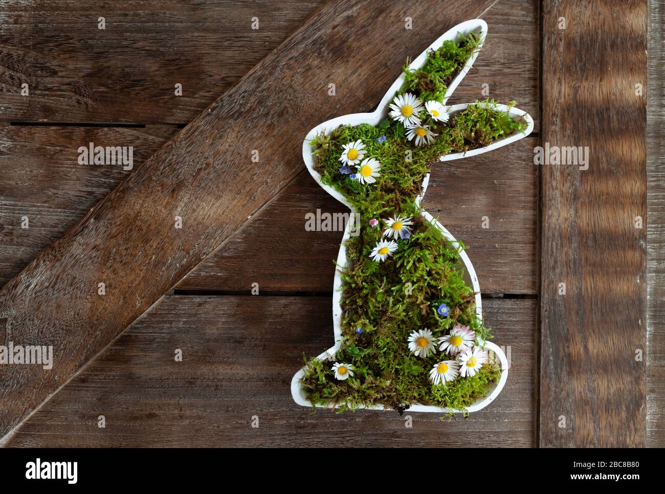 Easter bunny with frsh moss and little daisy flowers Stock Photo