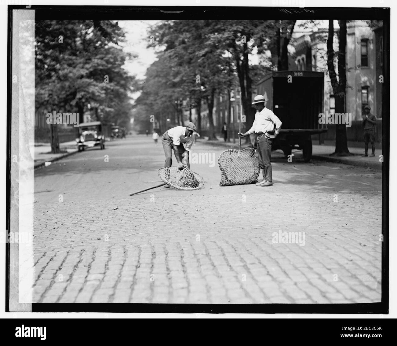 Library Of Congress Catalog High Resolution Stock Photography And