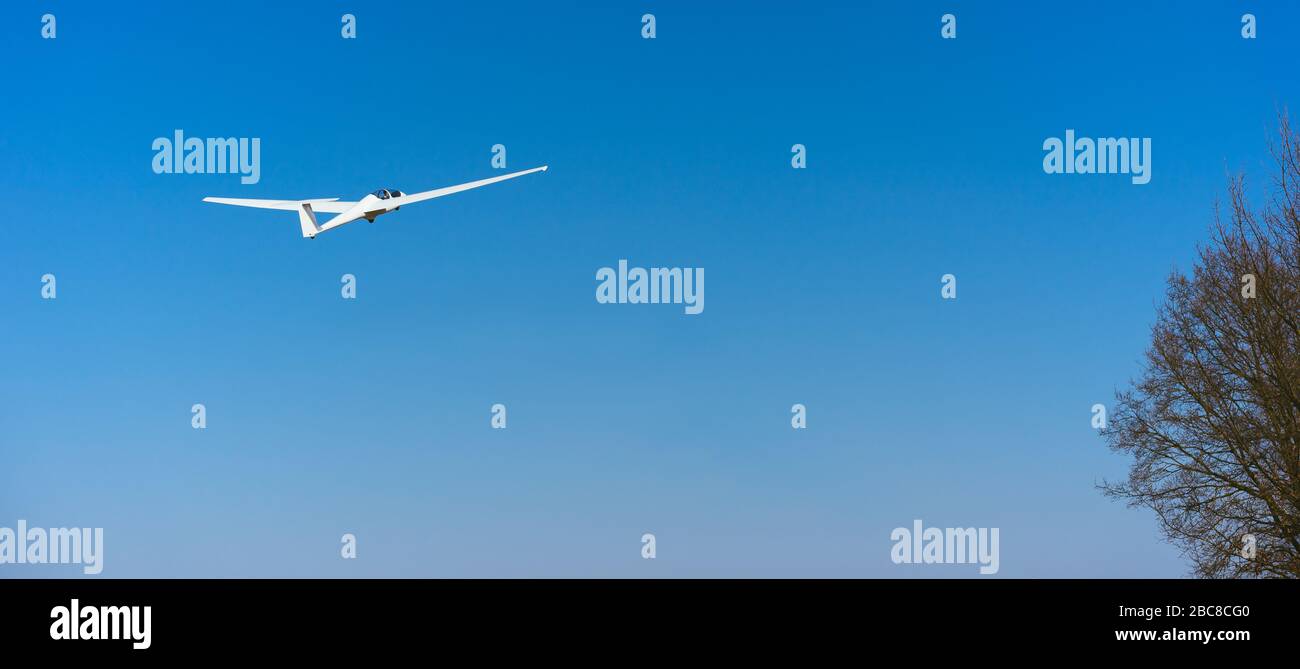 Pure white Glider in clear blue sky flying over the treetop. Concept of success, achievement of high goal. Stock Photo
