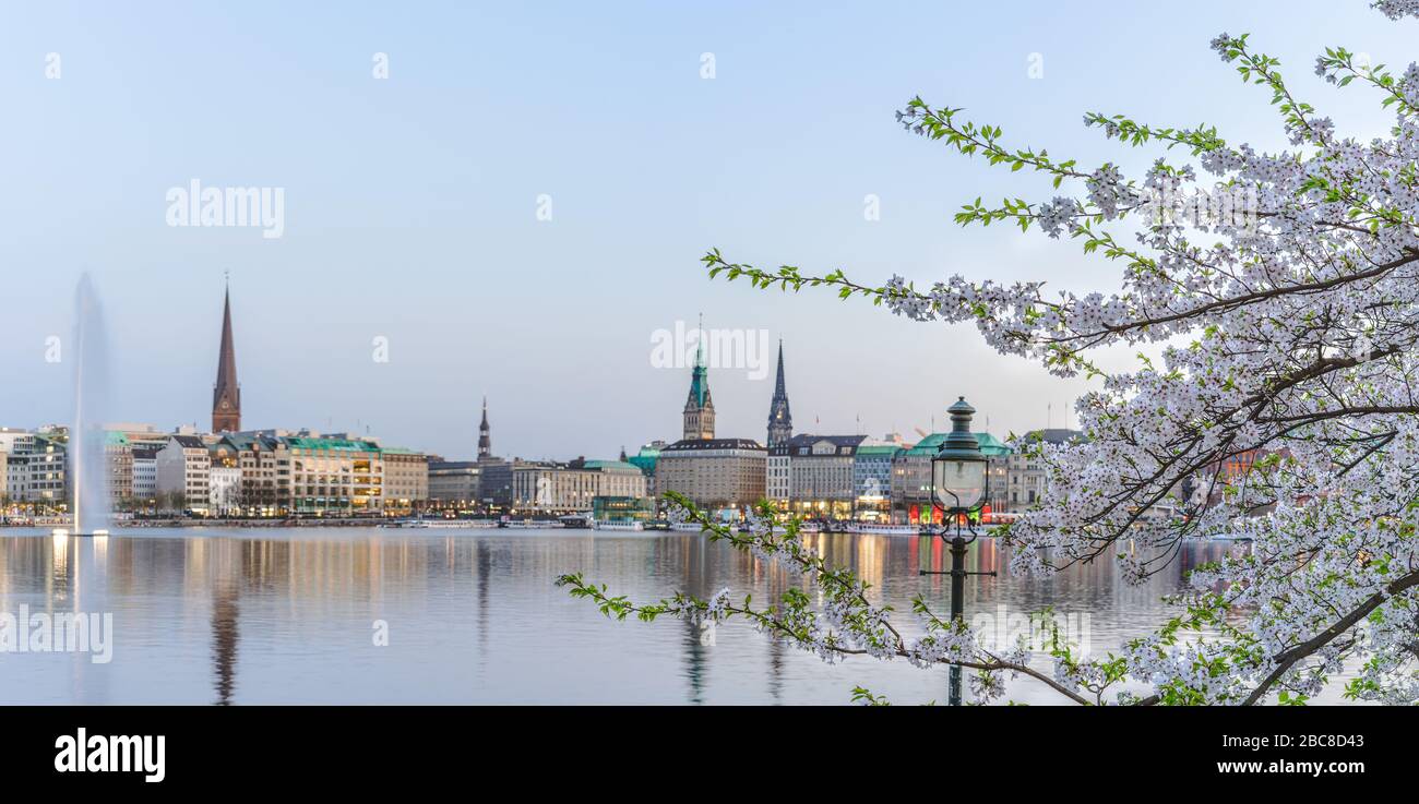 Beautiful view of Hamburg town hall - Rathaus and Alster river at spring earning evening. Stock Photo
