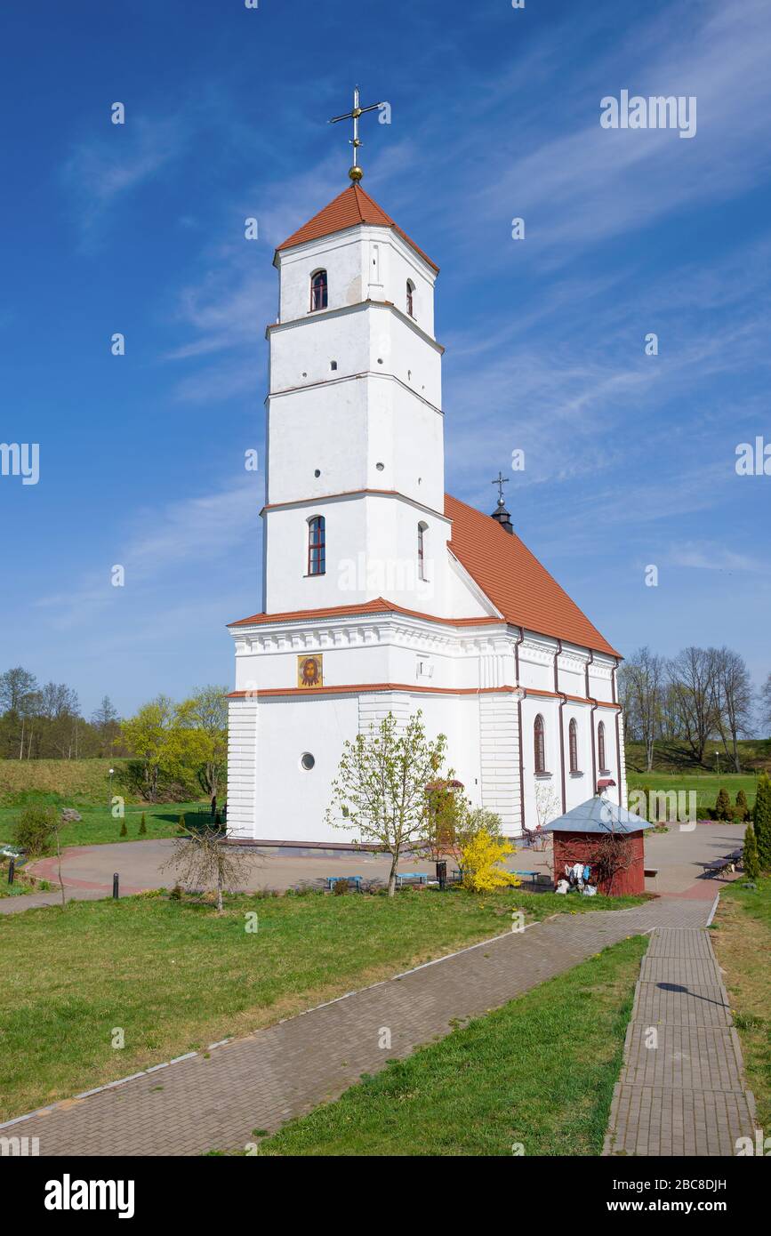 View of the Transfiguration Cathedral on a sunny May day. Zaslavl, Belarus Stock Photo