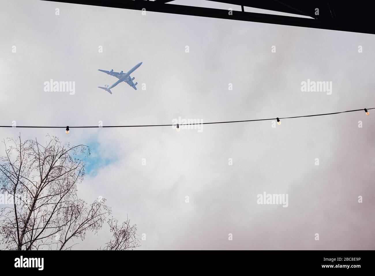 Airplane, sky, fairy lights, tree Stock Photo
