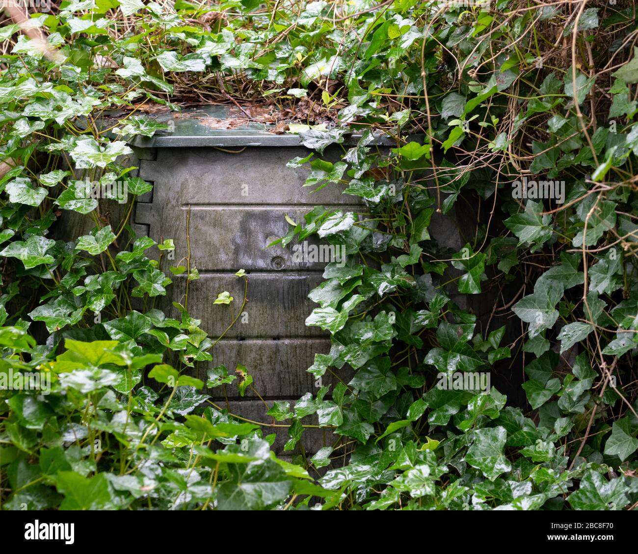 neglected overgrown compost bin in shady corner of garden Stock Photo