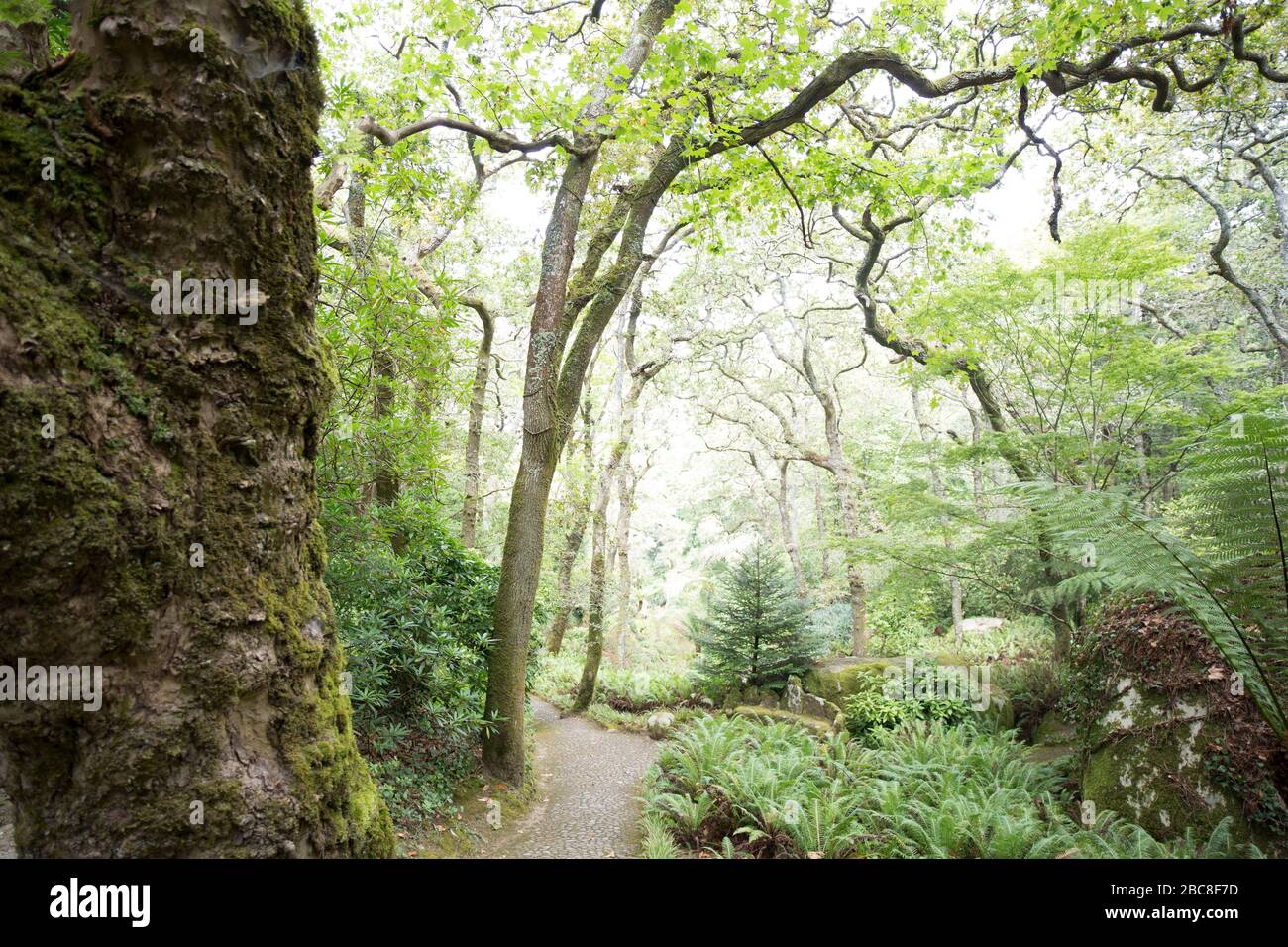 Gardens in Sintra Stock Photo - Alamy