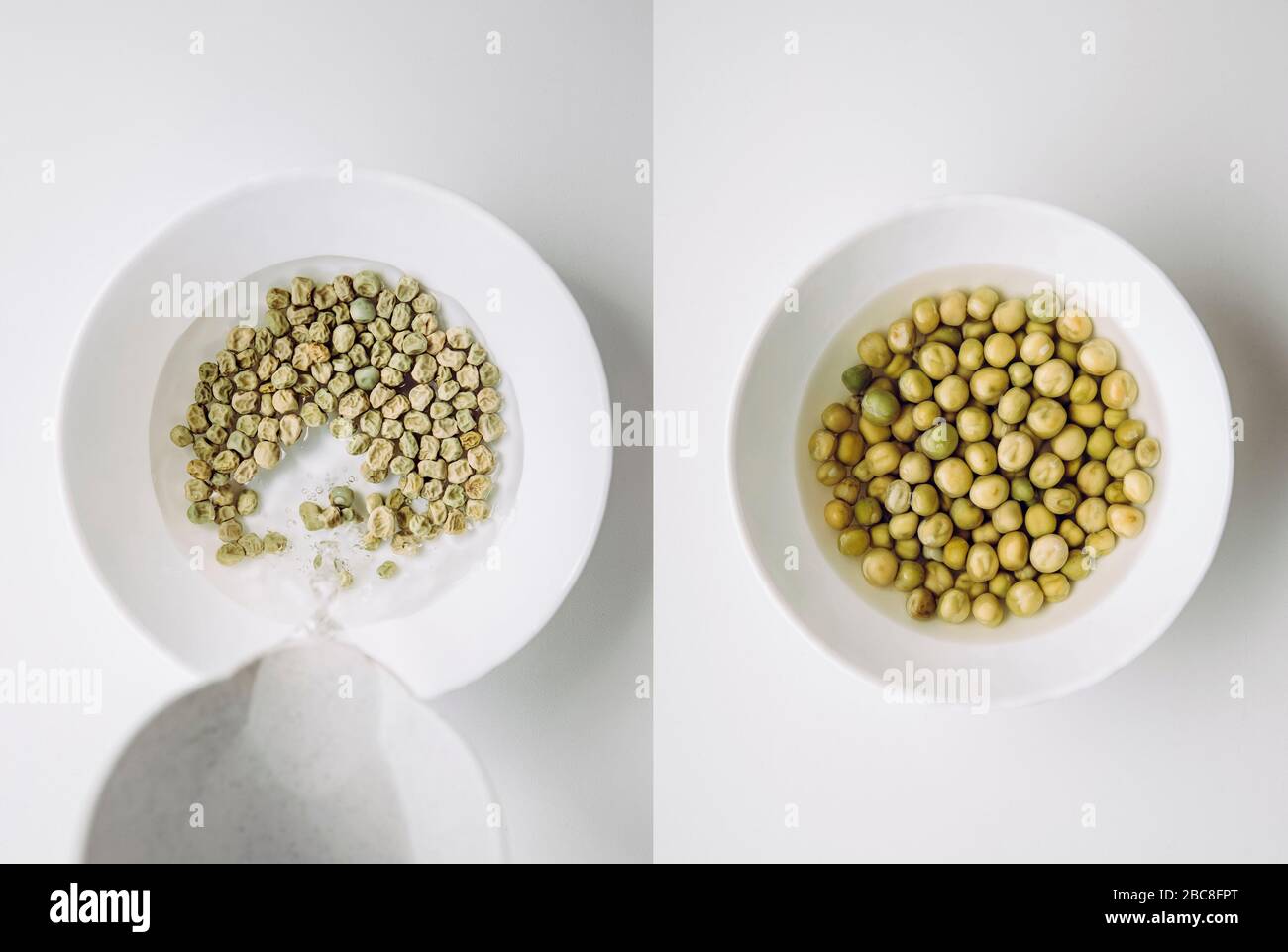 Soaking green pea seeds in warm water in bowl to fasten germination process when planting in garden. Before soaking on left after overnight soak on ri Stock Photo