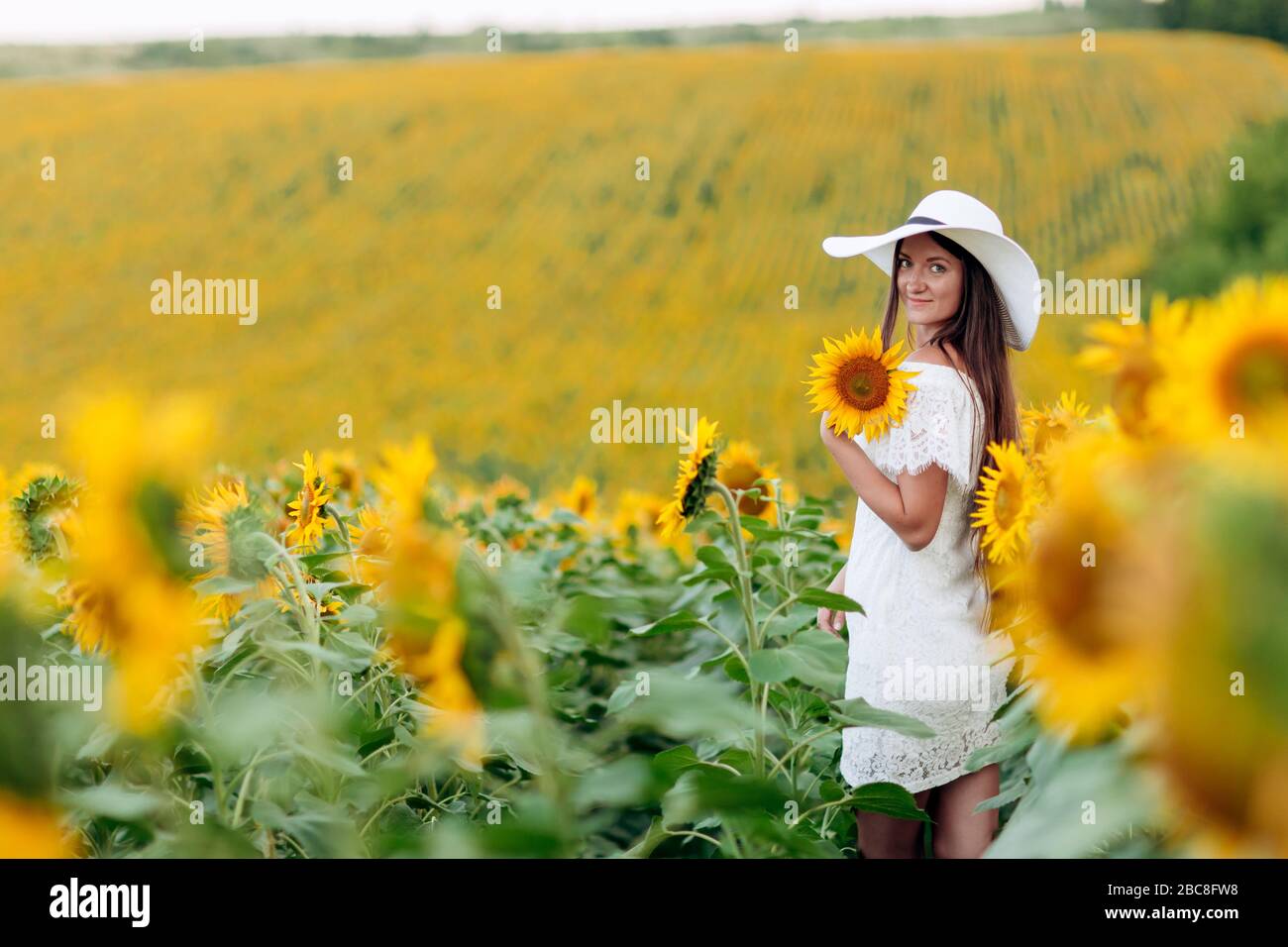 Woman in the field of sunflowers. A happy, beautiful young girl in a ...