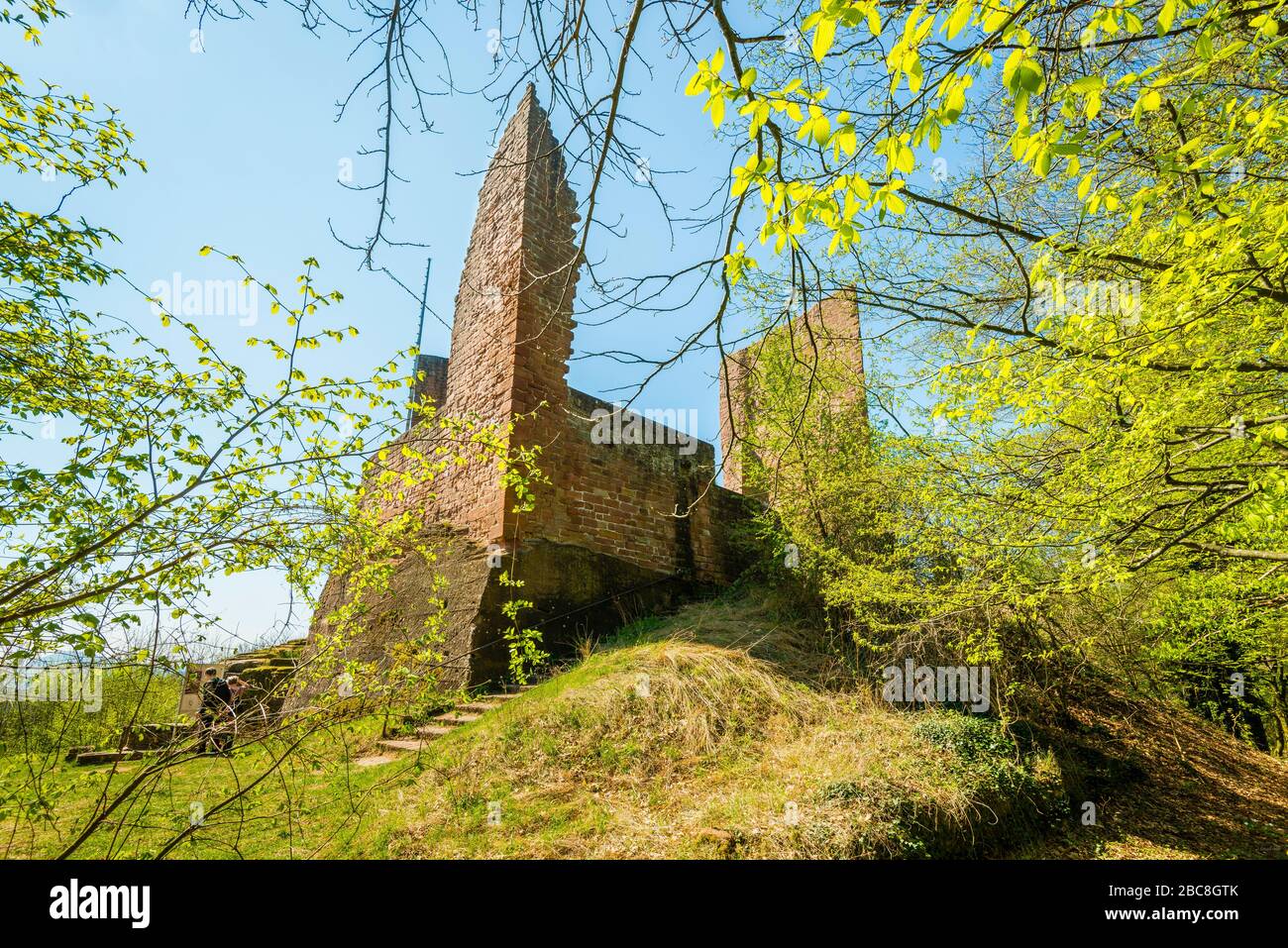 Ramburg castle ruins in the Palatinate (southern Weinstrasse), former Stauferder castle on Schlossberg, with a large rock cellar, neck ditch, shield w Stock Photo