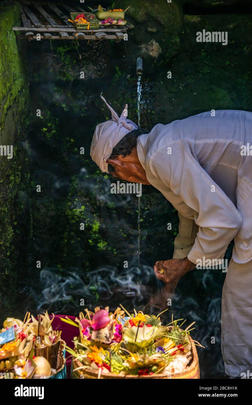Vertical view of a holyman collecting holy water to be used in the water ceremony in Bali, Indonesia. Stock Photo