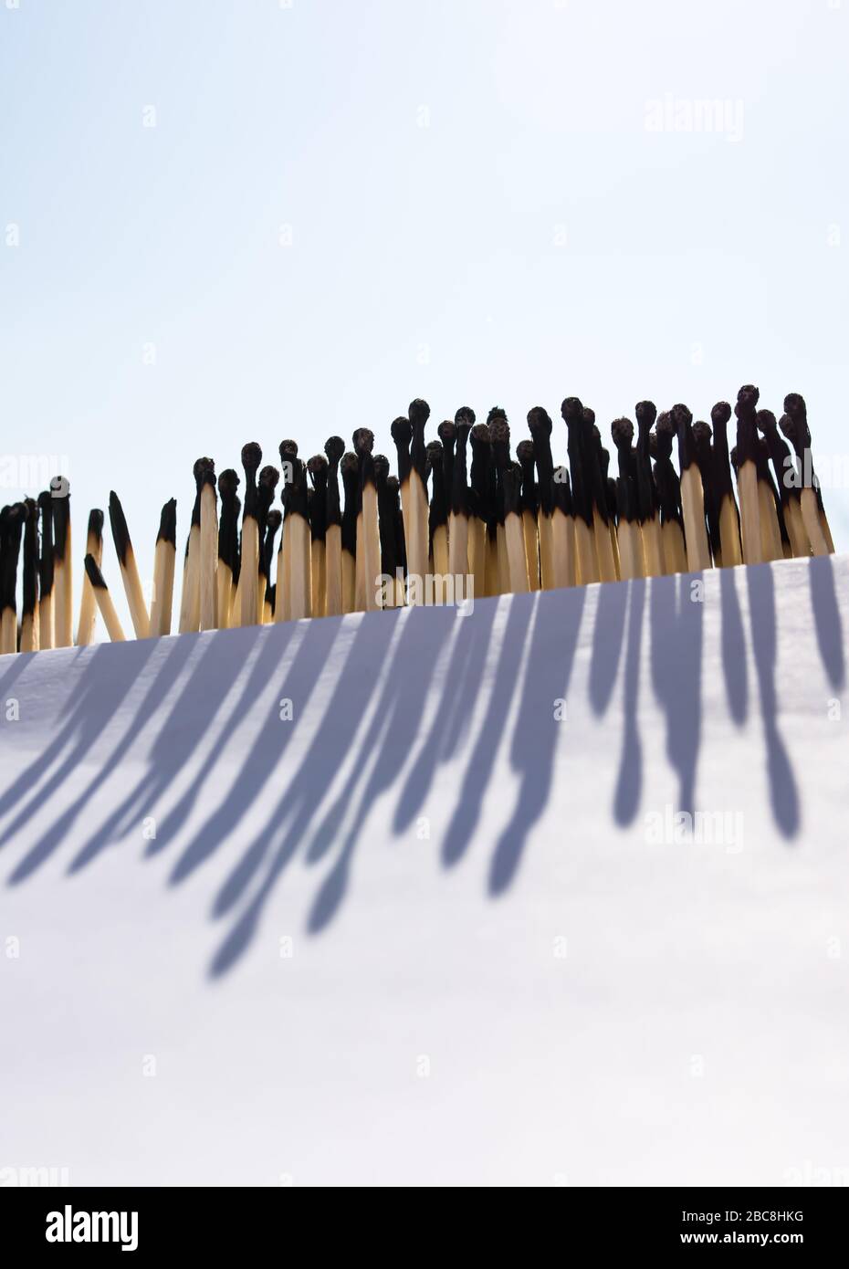 Burnt many matchstick, and long shadows. Stay at home, stop Coronavirus epidemic, keep social distance in curfew. Concept: matchstick domino effect, C Stock Photo