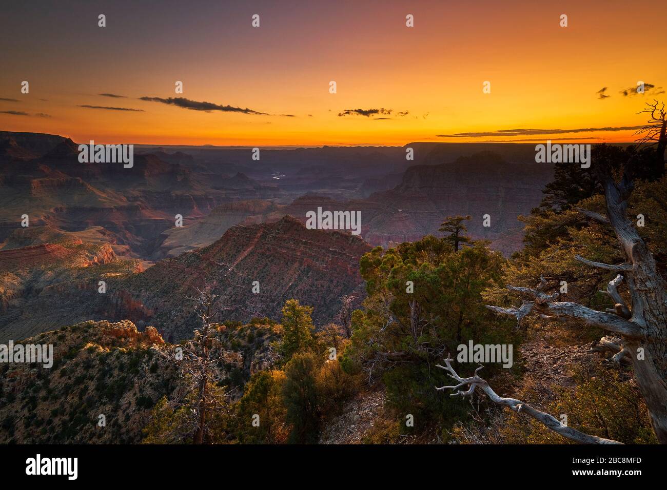 Arizona Grand Canyon National Park Yavapai Point USA Stock Photo - Alamy