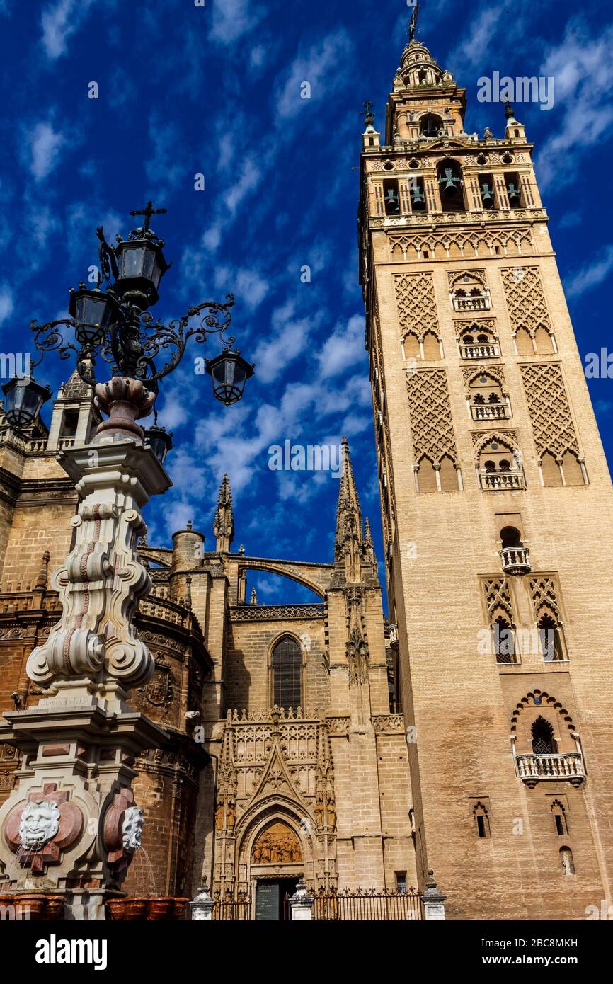Giralda Sevilla Cathedral and street light. Andalusia, Spain. Stock Photo