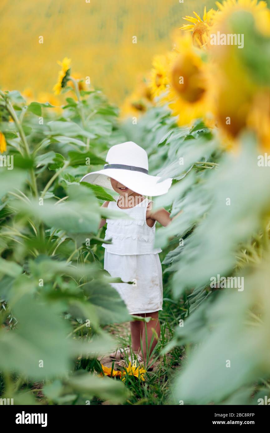 A cute little smiling girl in the field of sunflowers. child in momy ...