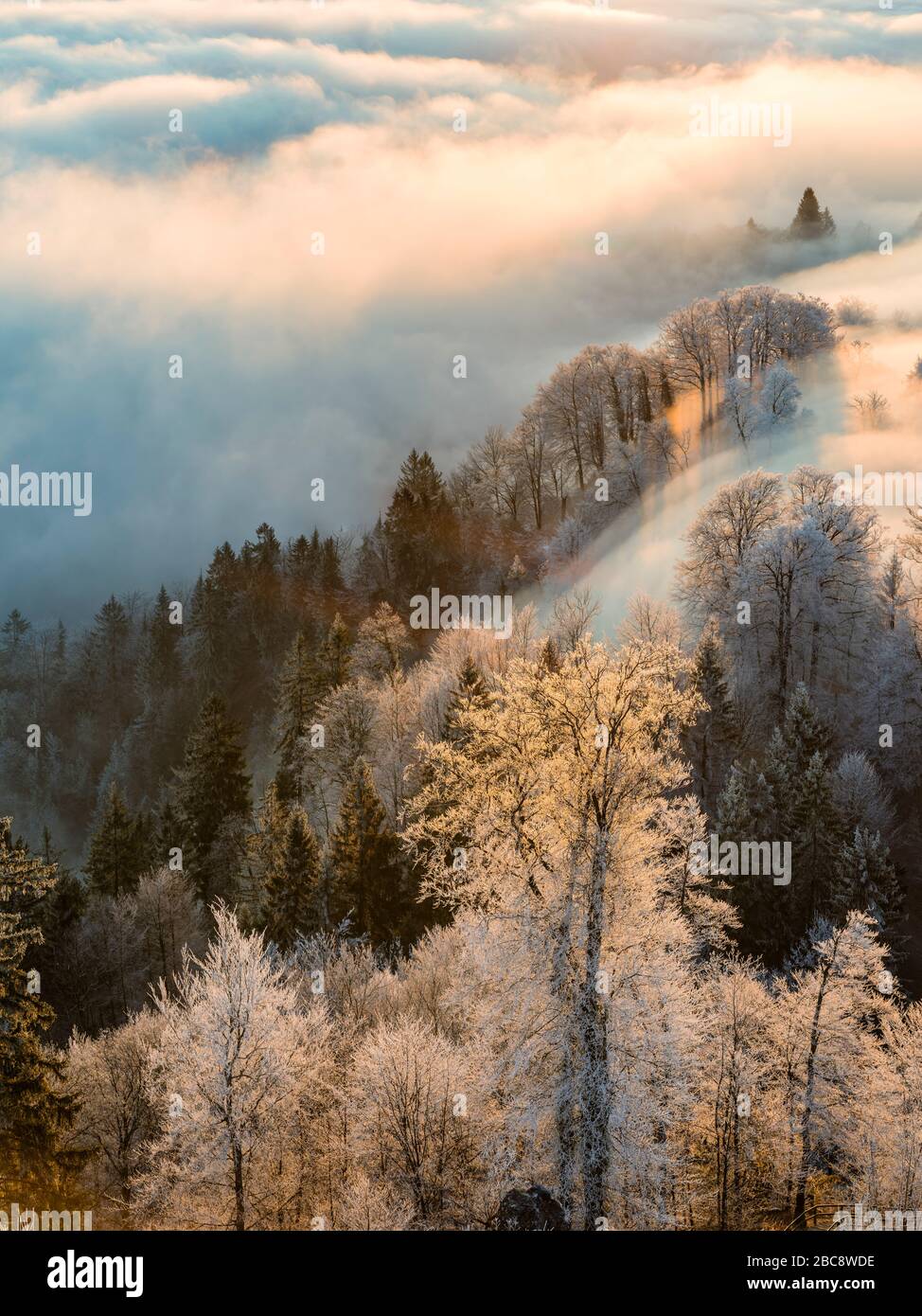 Sunrise Over The Sea Of Fog On The Uetliberg Near Zurich Stock Photo 