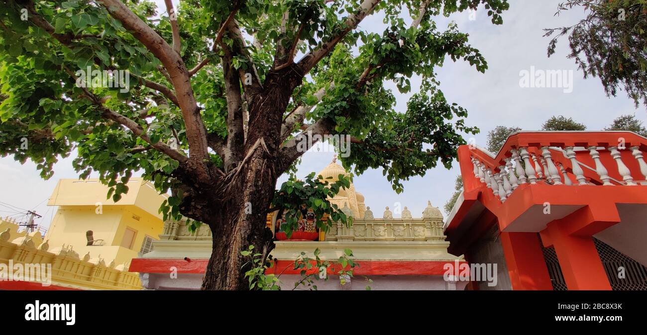 karmanghat Hanuman temple in Hyderabad Telangana Stock Photo Alamy
