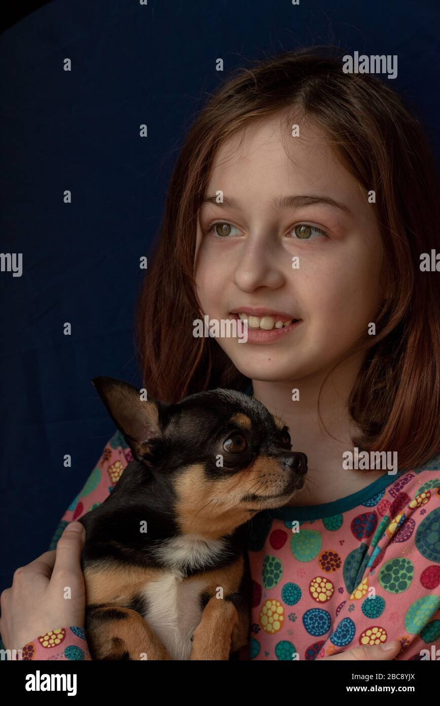 Page 9 - Chihuahua Dog And Children High Resolution Stock Photography and  Images - Alamy