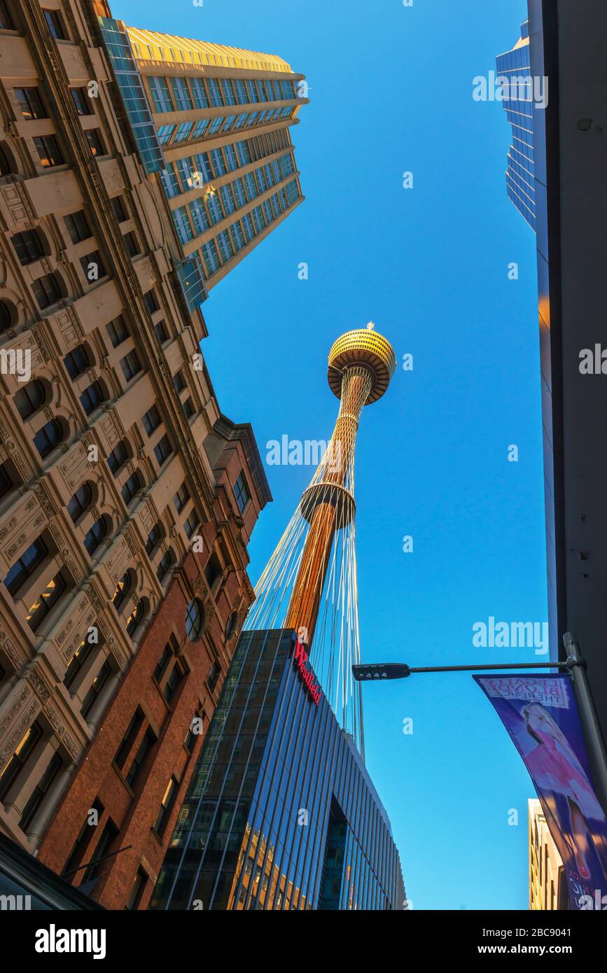 Sydney Tower, Sydney, New South Wales, Australia, Stock Photo