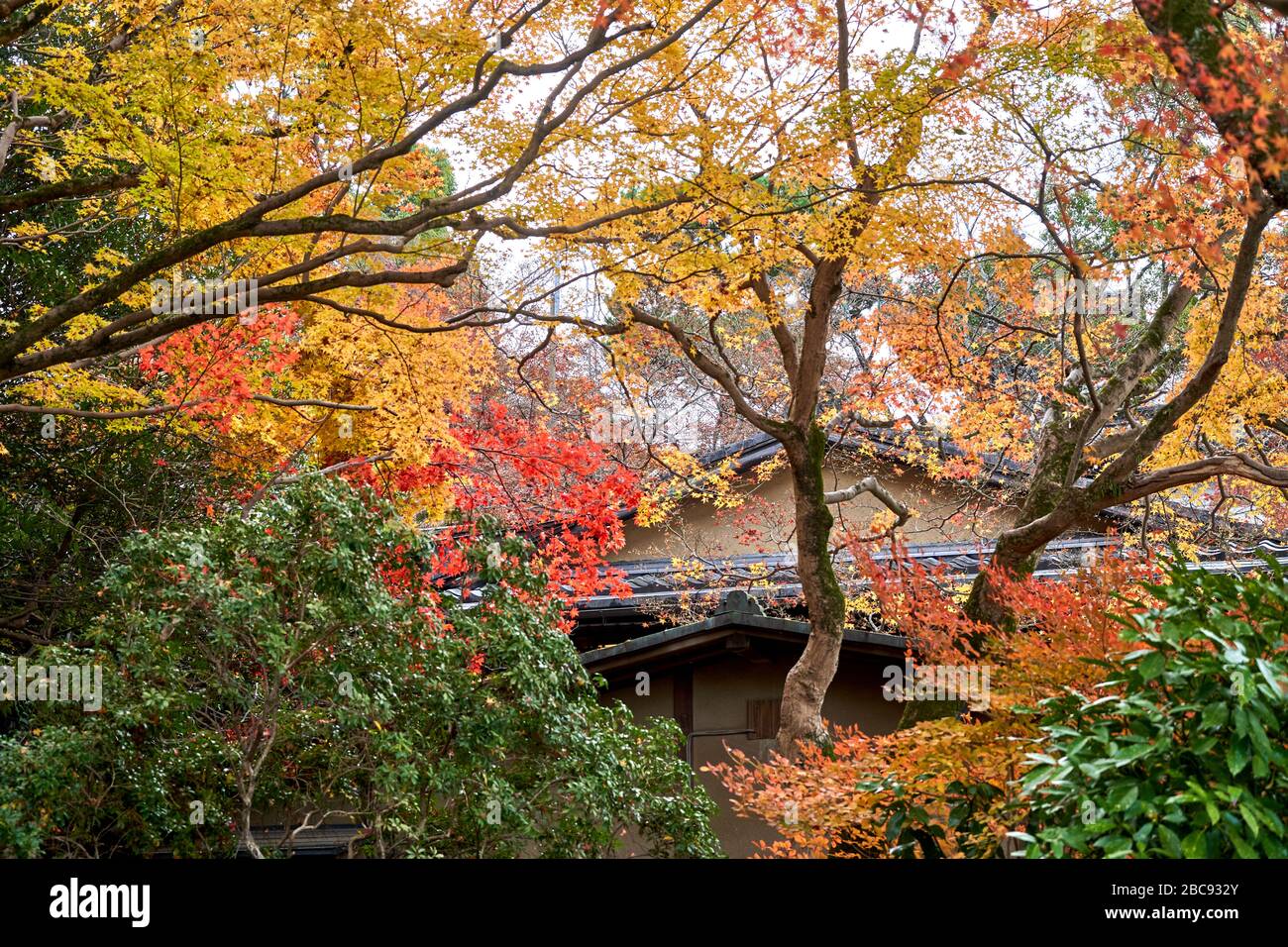 Old japanese style house hi-res stock photography and images - Alamy