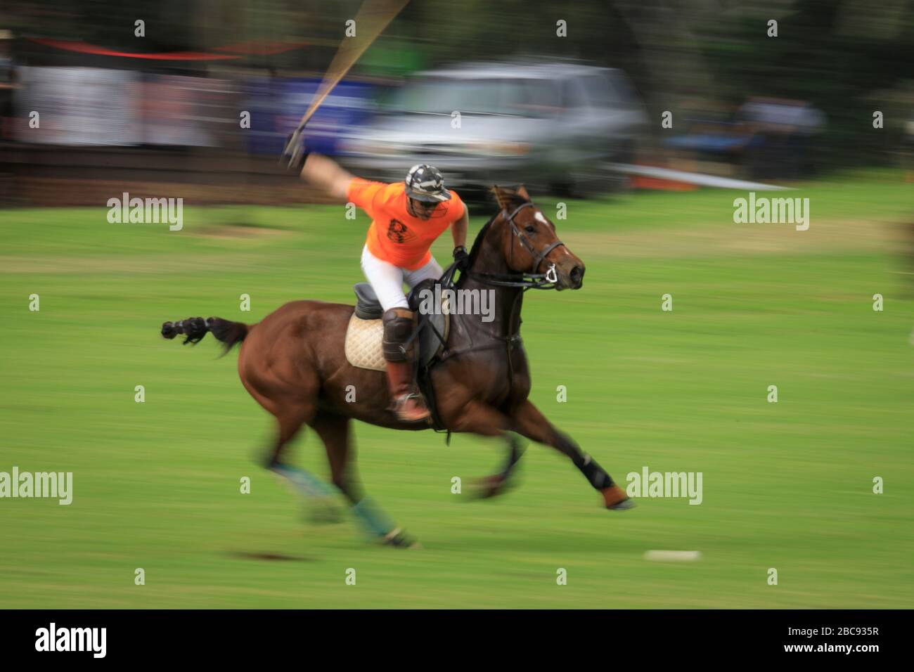 Polo player winds up to take shot during match in Waimea (Kamuela) Hawaii. Stock Photo