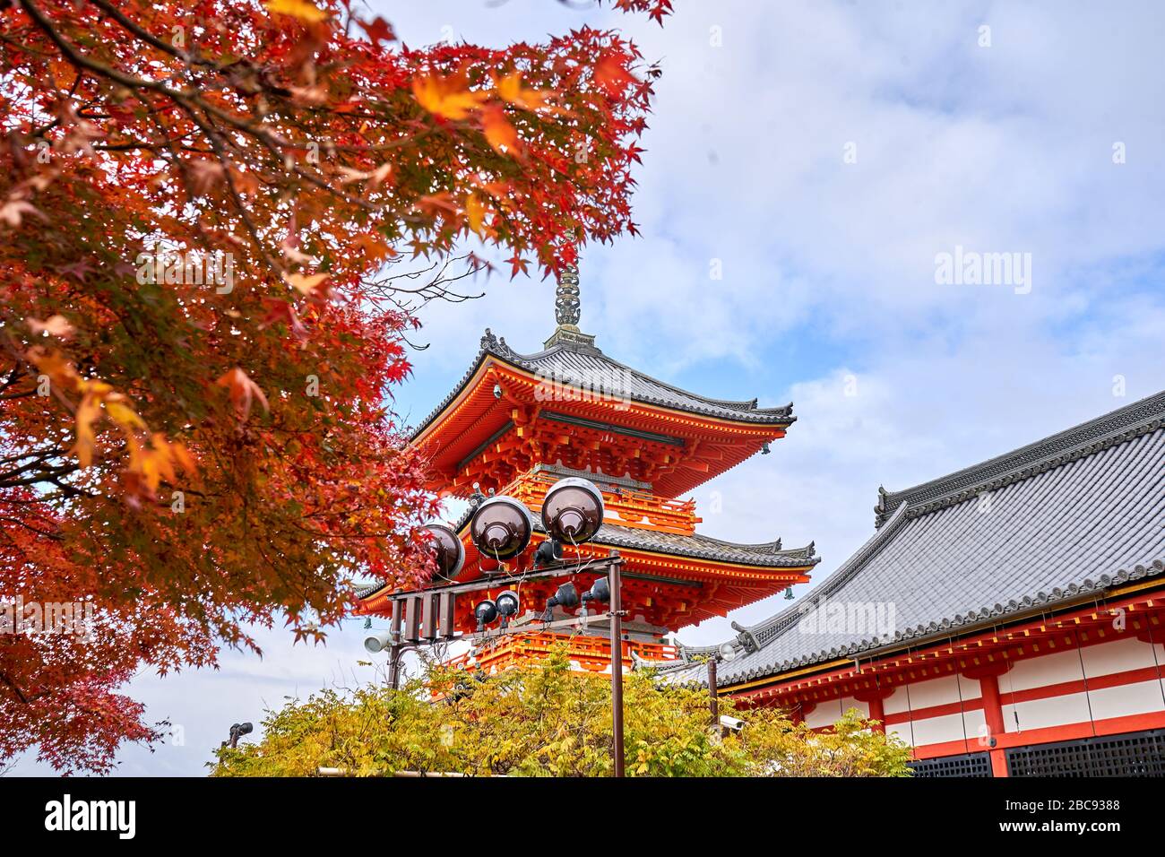 Orange temple during autumn time in Kyoto Stock Photo