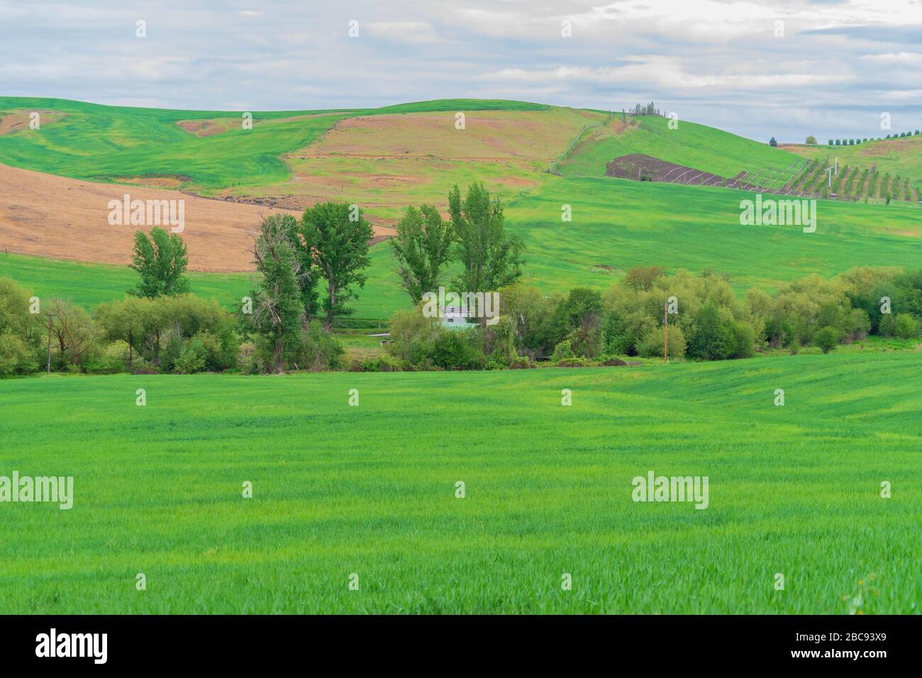 Beautiful Rural Central Oregon, USA Stock Photo Alamy