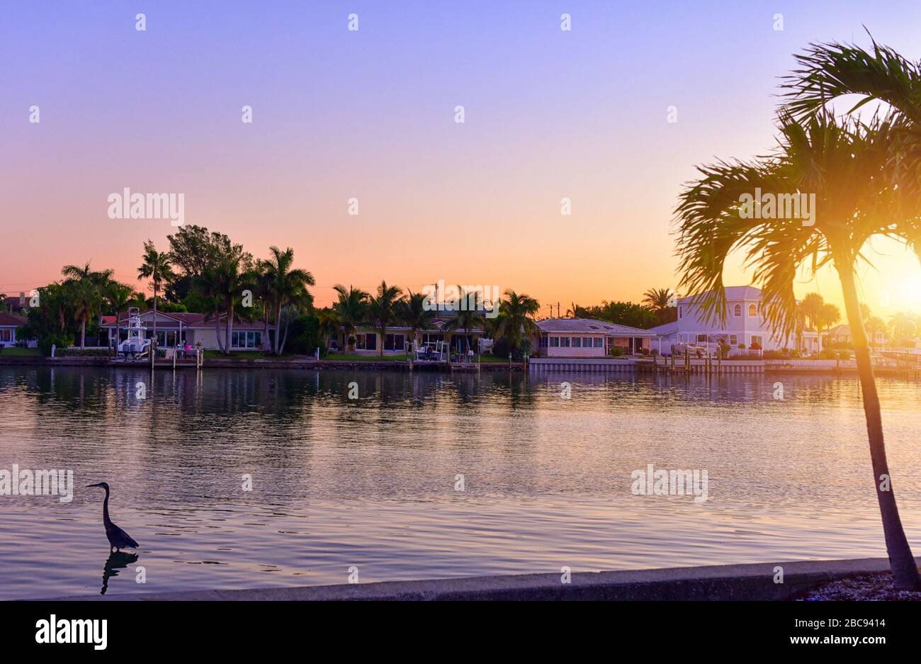 The sun rising over the waterfront near St Petersburg, Florida with a heron fishing in the foreground Stock Photo