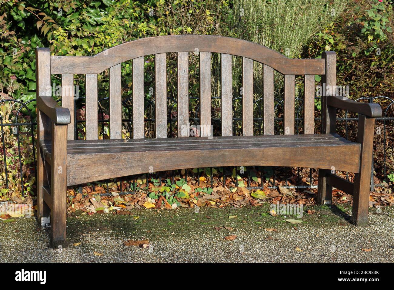 Traditional wooden park seat with shrub plants and a fence behind