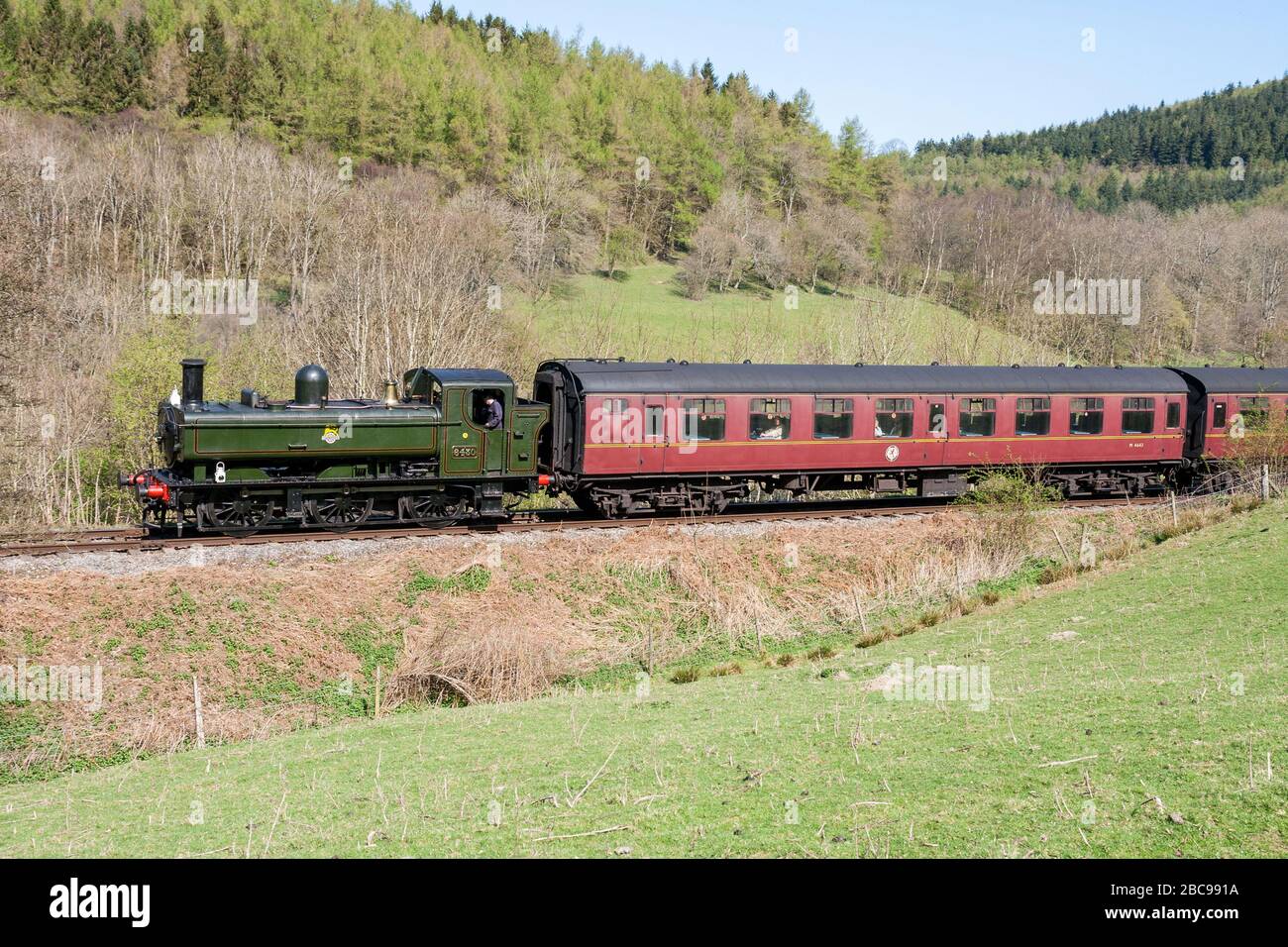 A steam train on the Llangollen railway Stock Photo Alamy