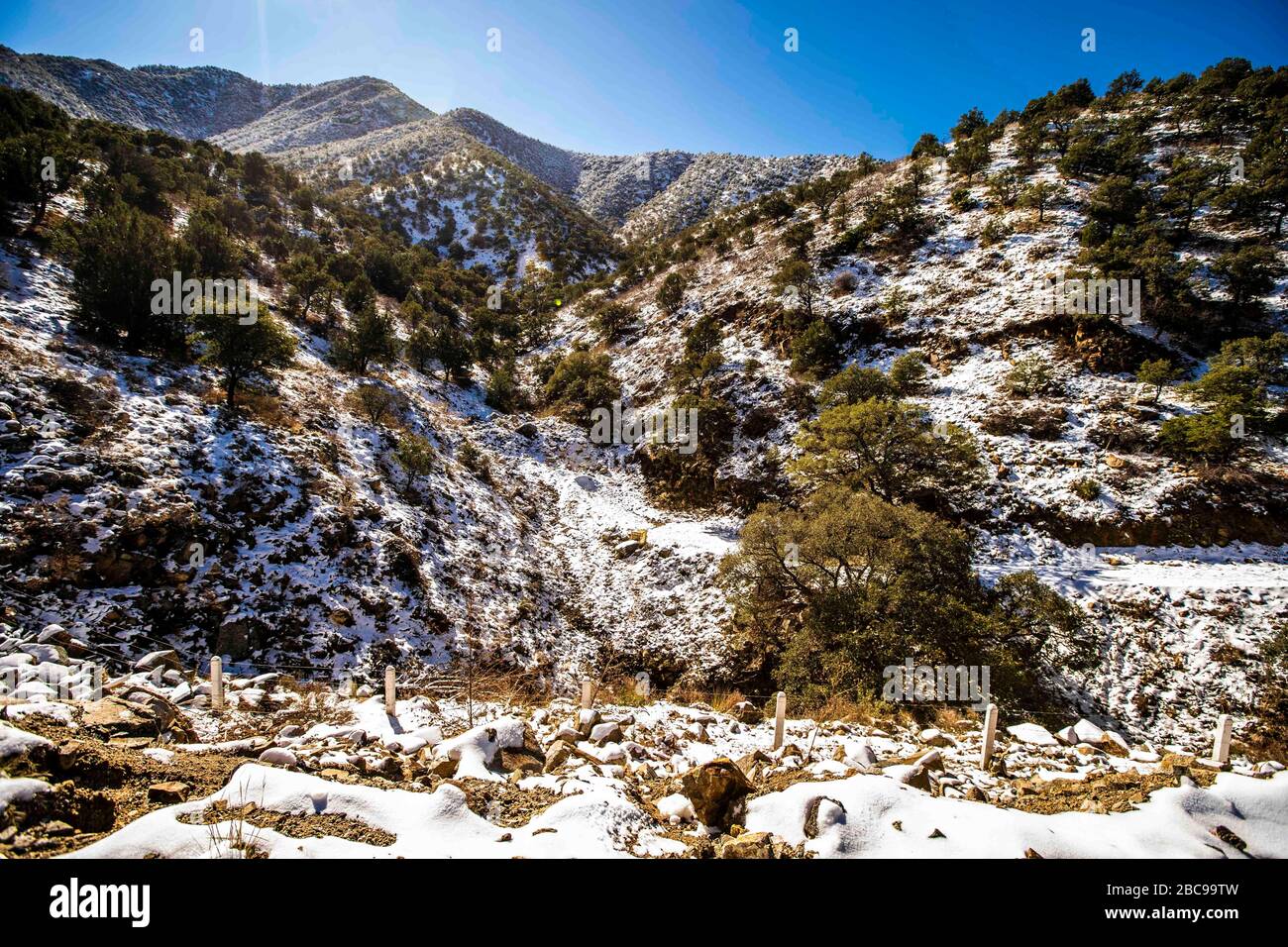 snow landscapes with clear sky. Winter in Cananea, Sonora, Mexico. Snow on the La Mariquita and Sierra Elenita mountains. 2020. (Photo by: GerardoLopez / NortePhoto.com).....  paisajes de la nieve con cielo despejado. Invierno en Cananea, Sonora, Mexico.  Nieve en la siera la Mariquita y sierra Elenita . 2020. (Photo by: GerardoLopez/NortePhoto.com ) Stock Photo