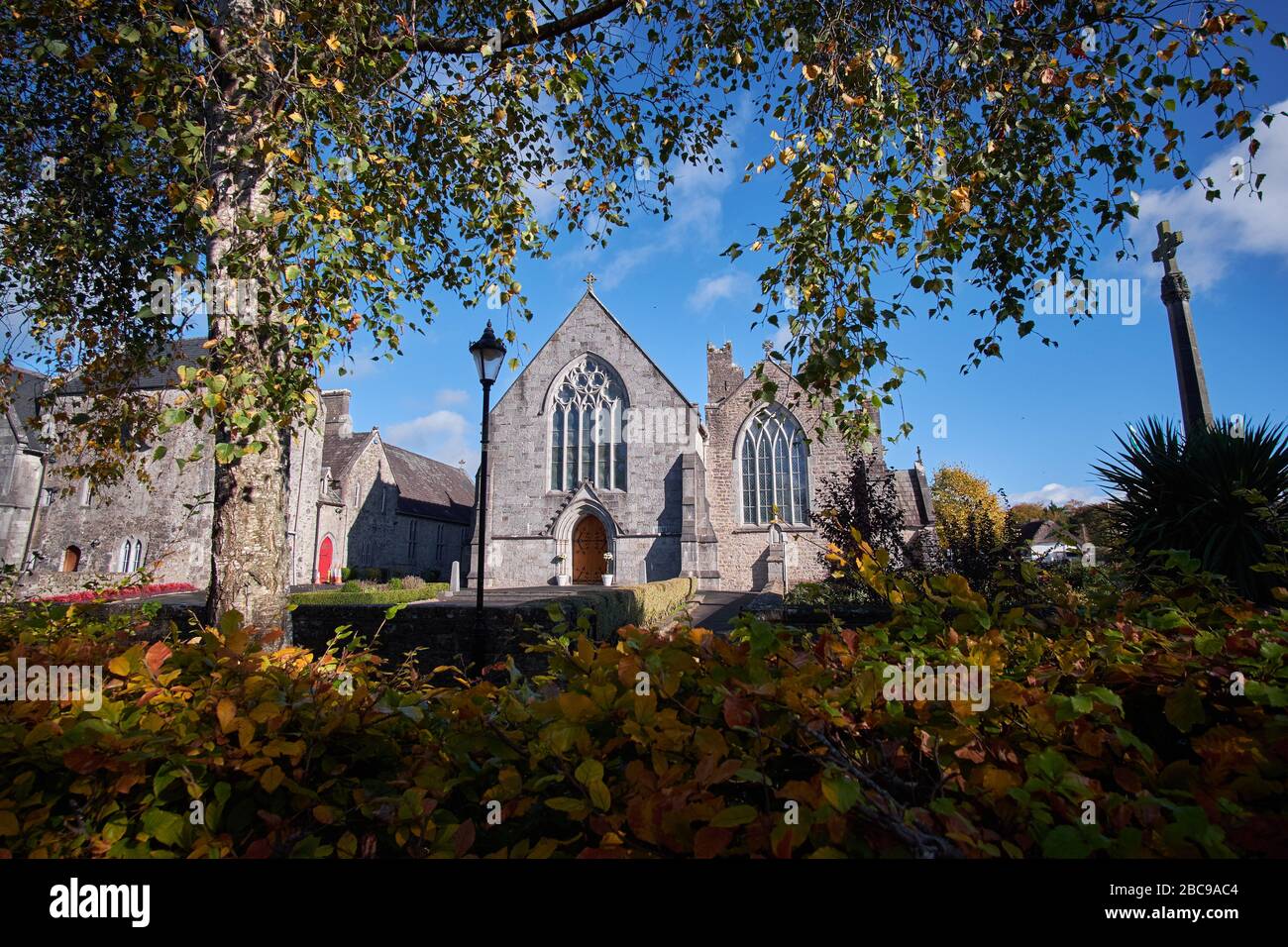 Holy Trinity Abbey Church in Adare, Co Limerick, catholic Church, 13th century viewed from Adare Park Stock Photo