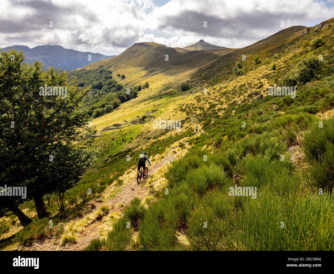 Tourte hires stock photography and images Alamy