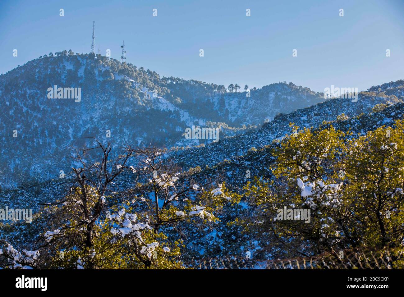 snow landscapes with clear sky. Winter in Cananea, Sonora, Mexico. Snow on the La Mariquita and Sierra Elenita mountains. 2020. (Photo by: GerardoLopez / NortePhoto.com).....  paisajes de la nieve con cielo despejado. Invierno en Cananea, Sonora, Mexico.  Nieve en la siera la Mariquita y sierra Elenita . 2020. (Photo by: GerardoLopez/NortePhoto.com ) Stock Photo