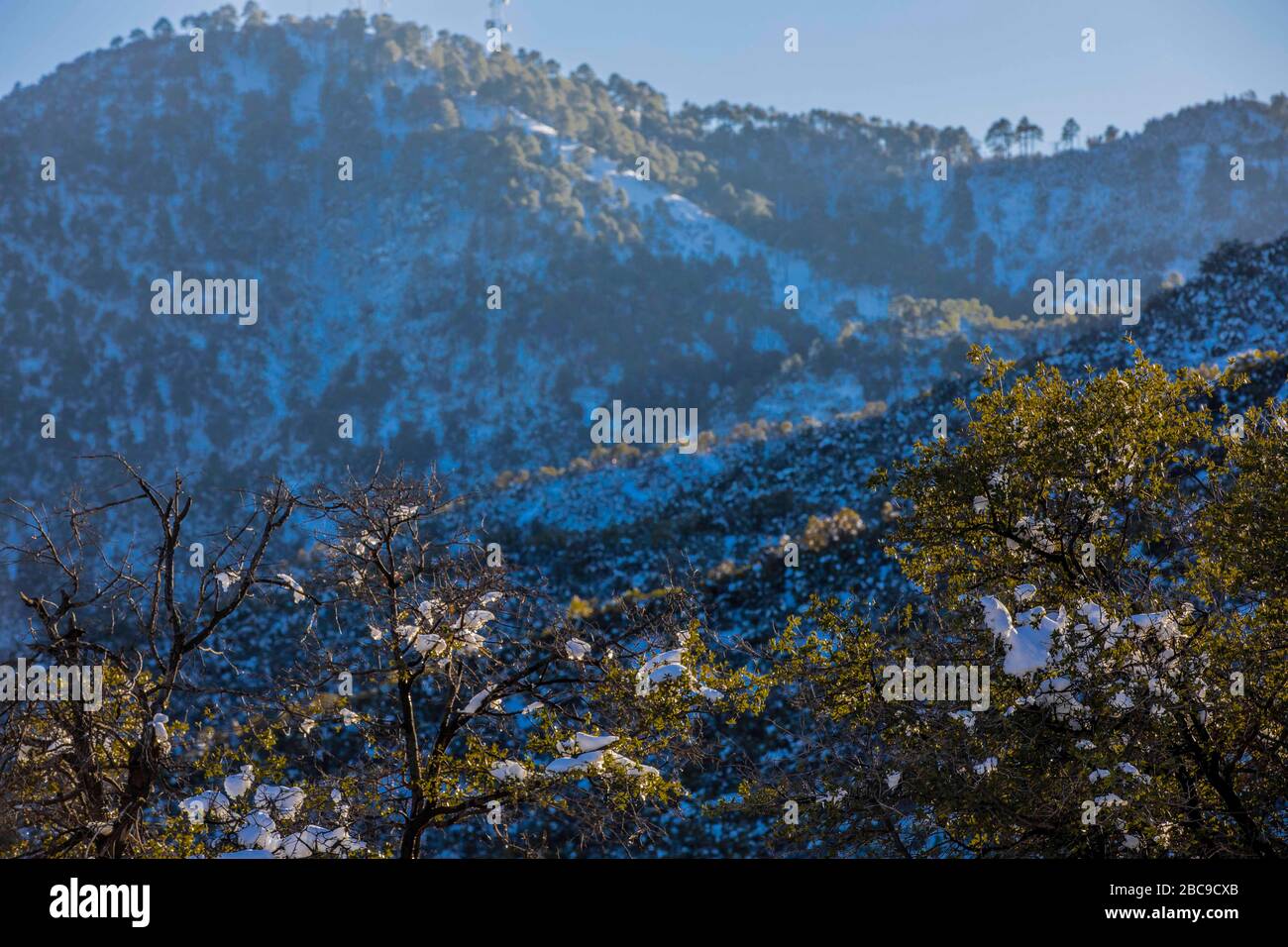 snow landscapes with clear sky. Winter in Cananea, Sonora, Mexico. Snow on the La Mariquita and Sierra Elenita mountains. 2020. (Photo by: GerardoLopez / NortePhoto.com).....  paisajes de la nieve con cielo despejado. Invierno en Cananea, Sonora, Mexico.  Nieve en la siera la Mariquita y sierra Elenita . 2020. (Photo by: GerardoLopez/NortePhoto.com ) Stock Photo