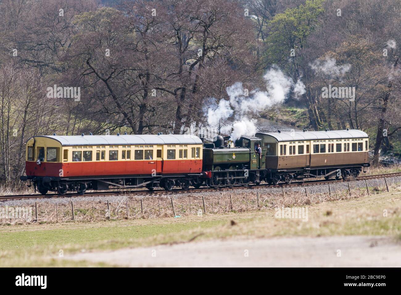 A steam train on the Llangollen railway Stock Photo Alamy