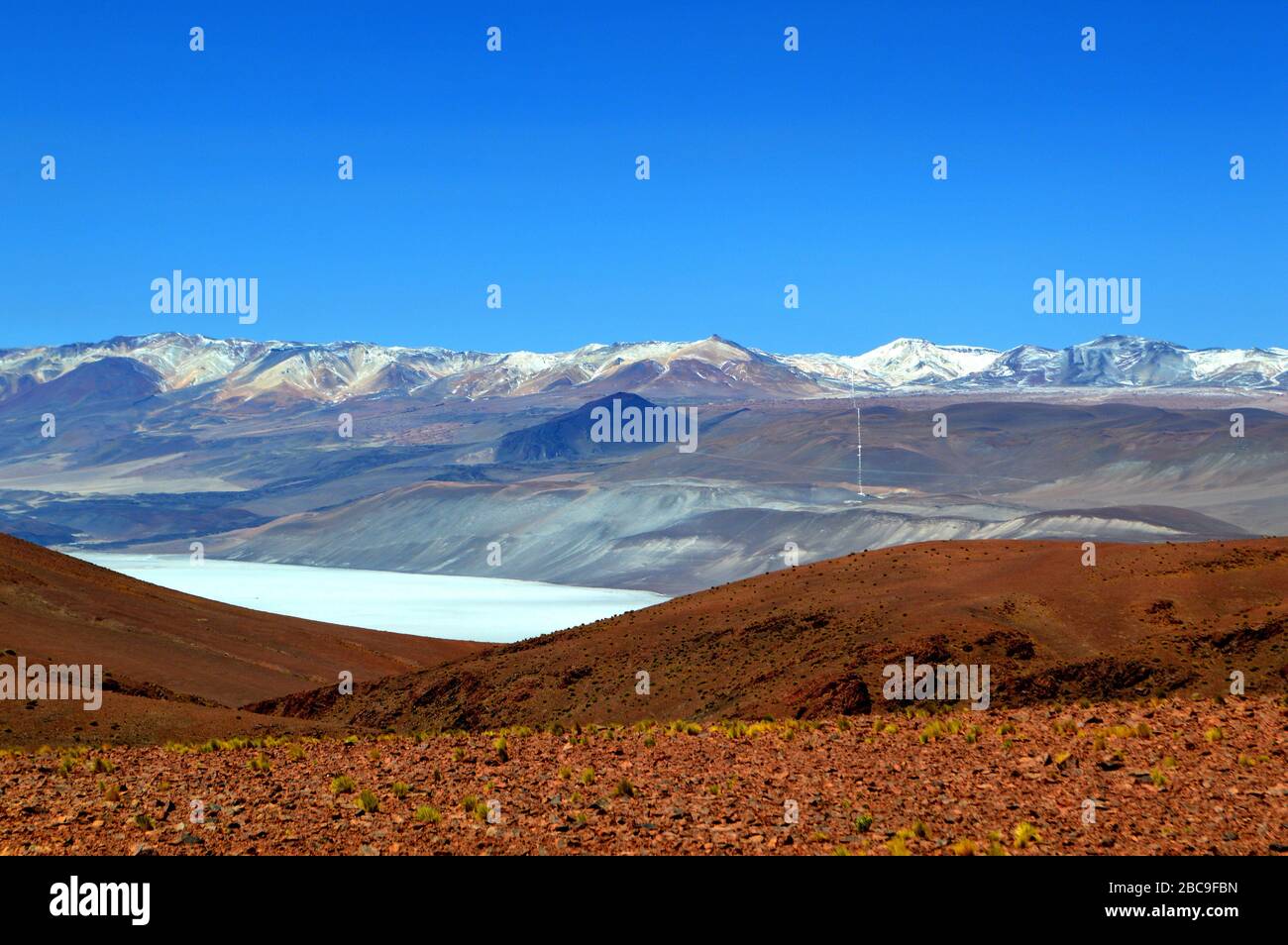 Mina lp hi-res stock photography and images - Alamy